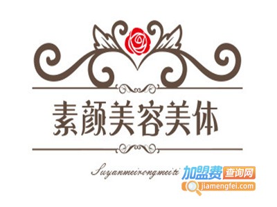 素颜美容美体加盟费