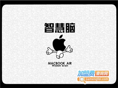 智慧脑加盟费
