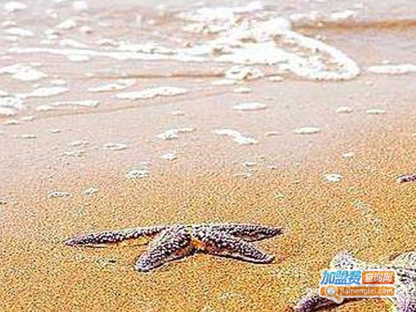 博大考神公务员培训加盟费