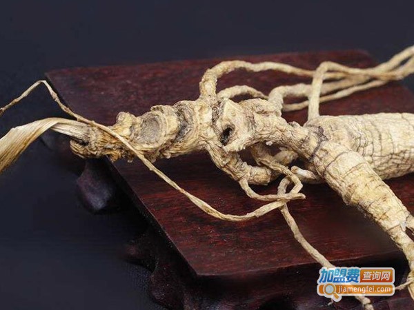 祥麟参社加盟费