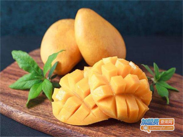 丽乡丽果加盟费