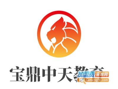 宝鼎中天教育加盟费