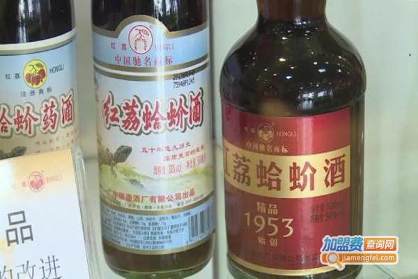 红荔蛤蚧酒加盟费