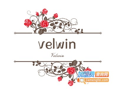 velwin女装加盟