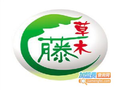 草木藤酒加盟费