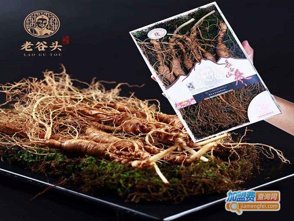 老谷头加盟费