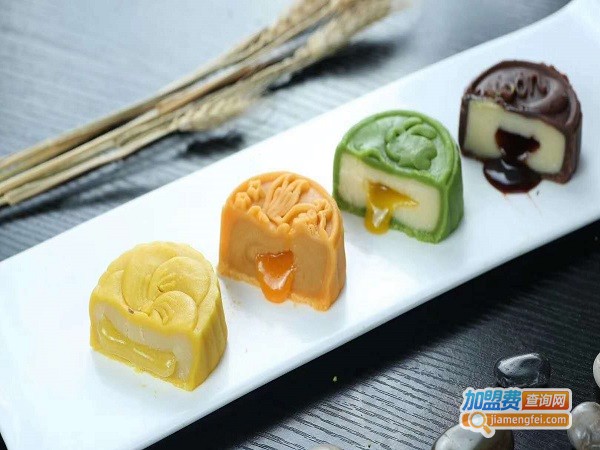 达洛优加盟费