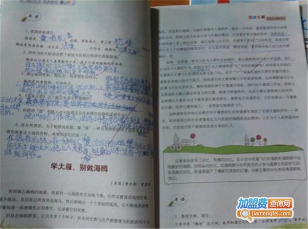 旭日弘文加盟费