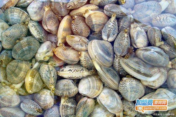 小贝壳海鲜加盟费