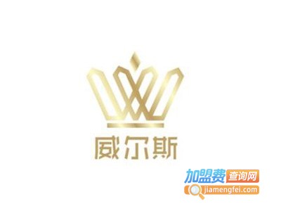 威尔斯洗衣加盟电话