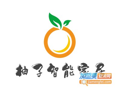 柚子智能家居加盟费
