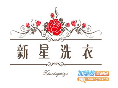 新星洗衣加盟电话