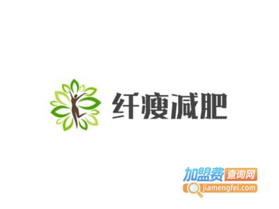 纤瘦减肥加盟费