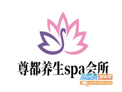 尊都养生spa会所加盟