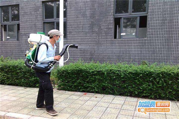 虫博士加盟费