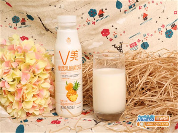 v美果蔬乳酸菌饮品加盟门店