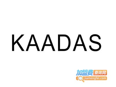 Kaadas凯迪仕遥控锁加盟