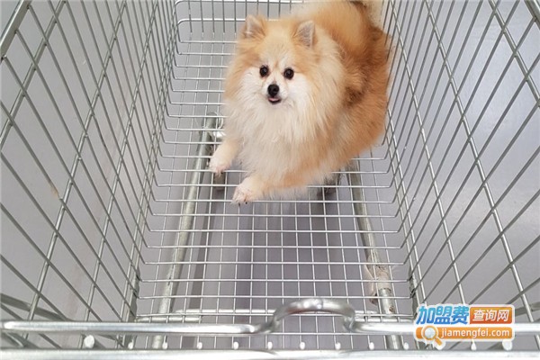 鲁宾舍