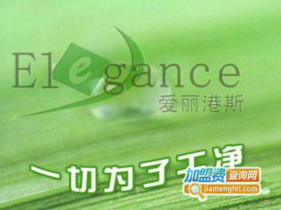 爱丽港斯干洗加盟电话