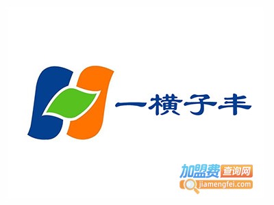 一横子丰加盟费