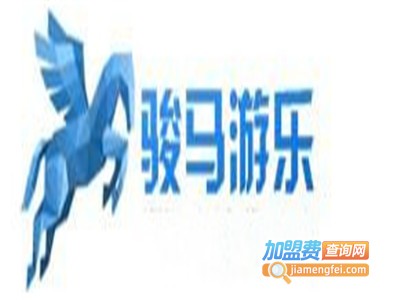 骏马游乐设备加盟费