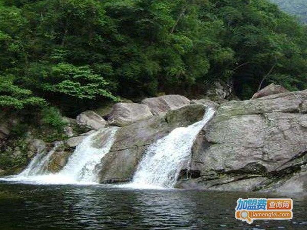 大山养生