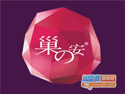 巢之安加盟电话
