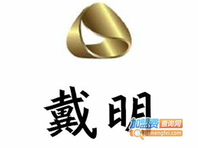 戴明即热式热水器加盟