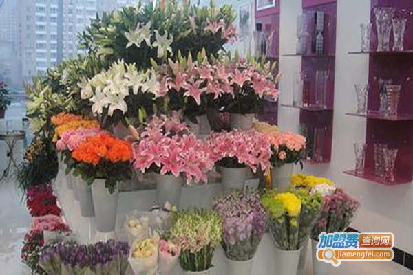 小丑鲜花店加盟费