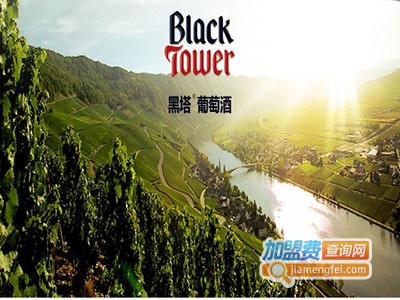 黑塔红酒加盟费