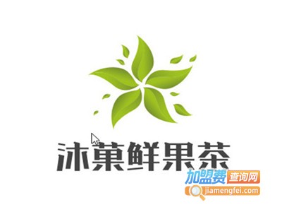 沐菓鲜果茶加盟费