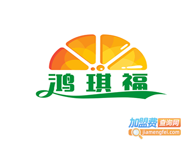 鸿琪福电动车加盟费