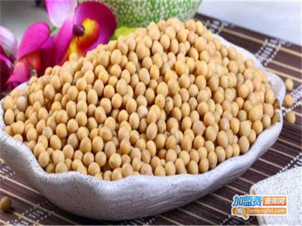 YANZI燕子豆制品加盟门店
