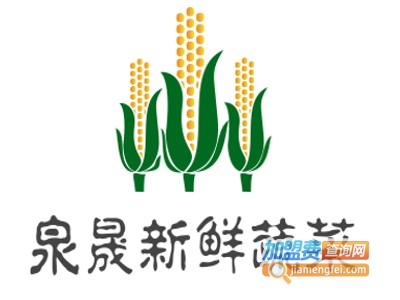 泉晟新鲜蔬菜加盟费