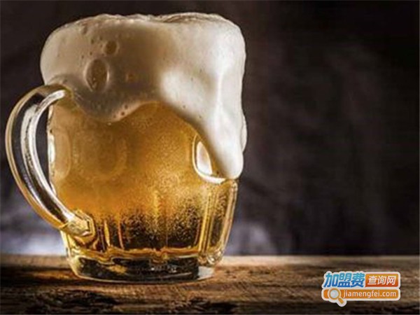 冰爽雪资啤酒加盟费