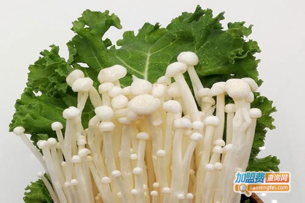 泉晟新鲜蔬菜加盟费