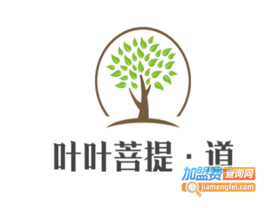 叶叶菩提·道加盟费