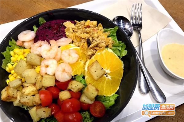 saladuniversity加盟费