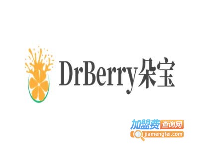 DrBerry朵宝酸奶冰激凌加盟