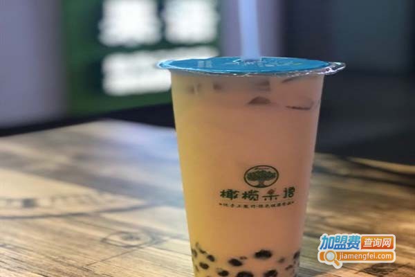 橄榄果语加盟门店