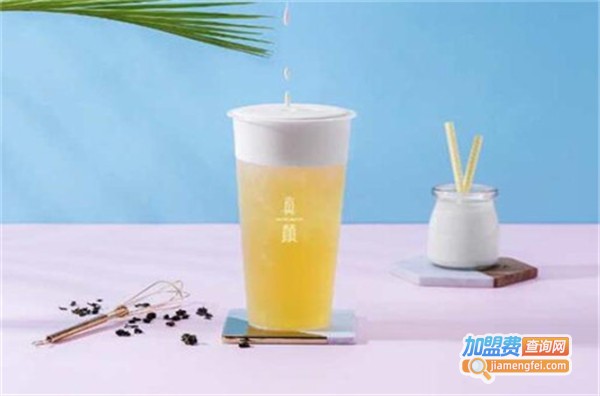 真颜元气之茶加盟费