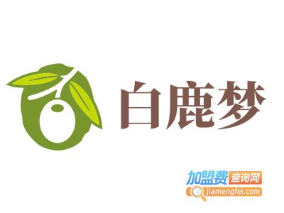 白鹿梦加盟费