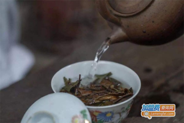 玩茶事务所