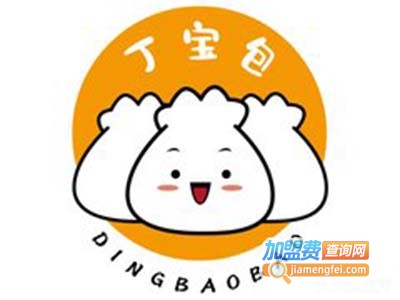 丁宝包加盟费