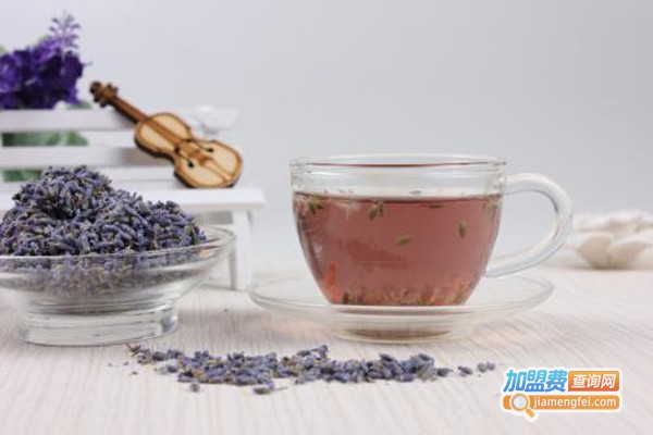 1024茶加盟费