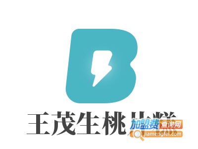 王茂生桃片糕加盟电话