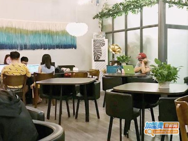 茶瑞斯加盟费