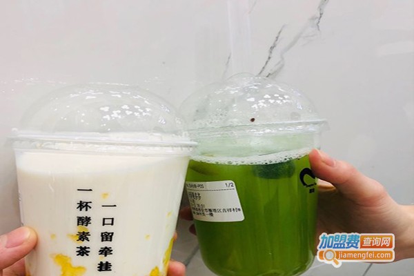 酵啥加盟费