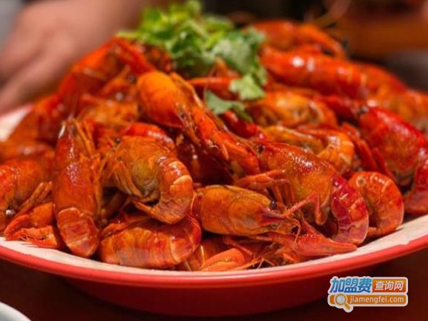 小饭城加盟费