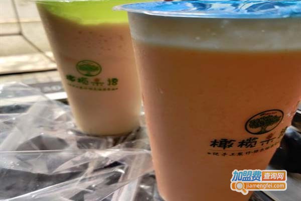 橄榄果语加盟门店